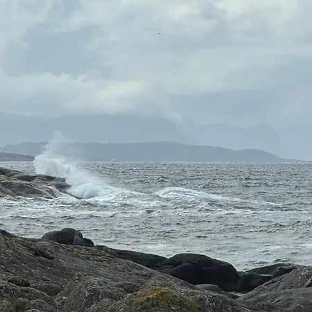 Eidsviklaaven Ålesund